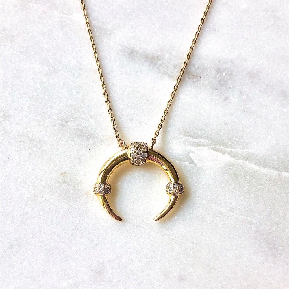 Gold Horn Necklace